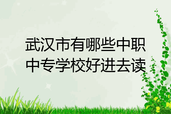 武汉市有哪些中职中专学校好进去读