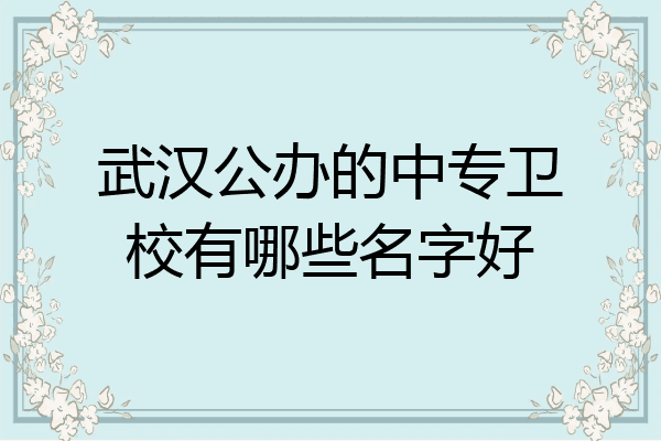 武汉公办的中专卫校有哪些名字好