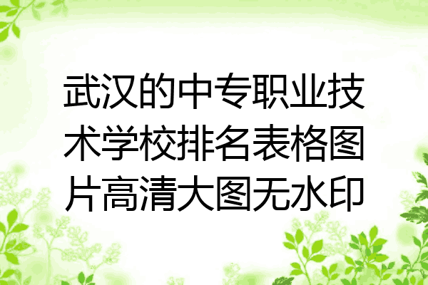 武汉的中专职业技术学校排名表格图片高清大图无水印