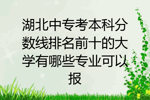 湖北中专考本科分数线排名前十的大学有哪些专业可以报