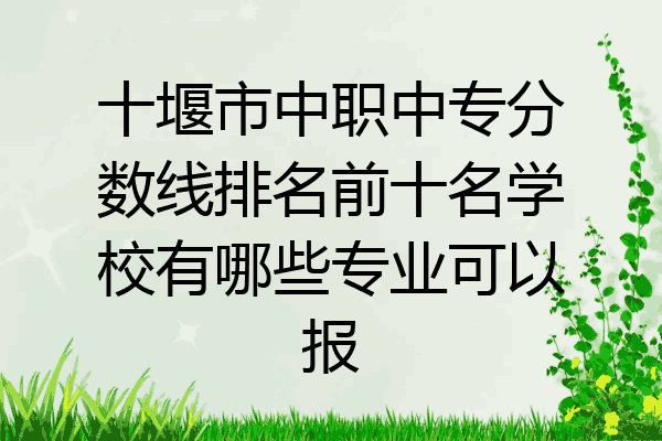 十堰市中职中专分数线排名前十名学校有哪些专业可以报