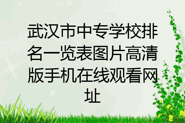 武汉市中专学校排名一览表图片高清版手机在线观看网址
