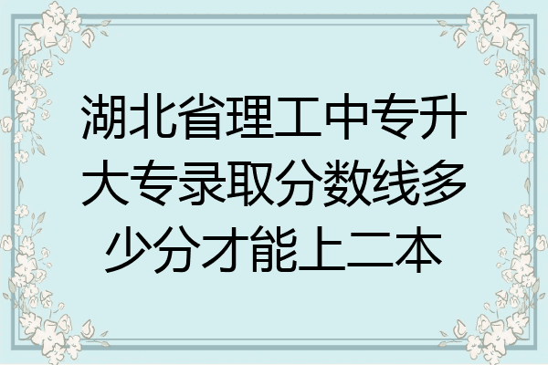 湖北省理工中专升大专录取分数线多少分才能上二本
