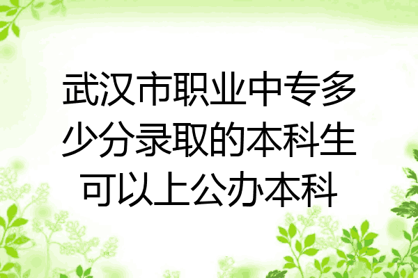 武汉市职业中专多少分录取的本科生可以上公办本科