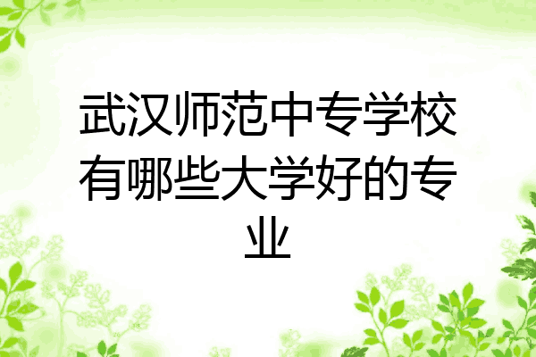 武汉师范中专学校有哪些大学好的专业