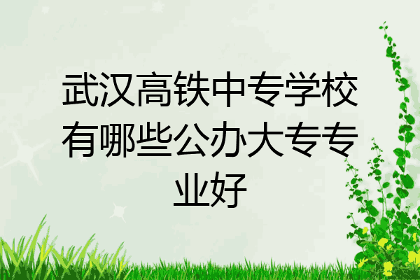 武汉高铁中专学校有哪些公办大专专业好