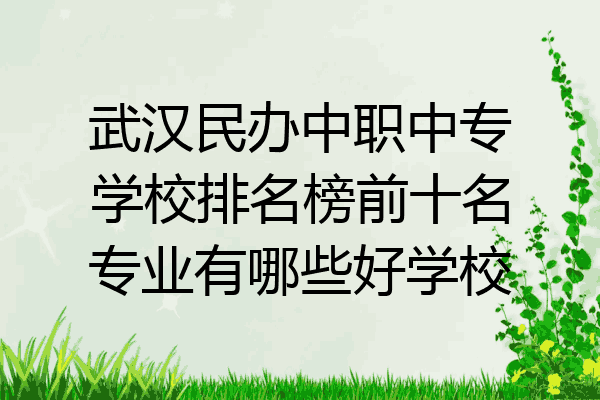 武汉民办中职中专学校排名榜前十名专业有哪些好学校