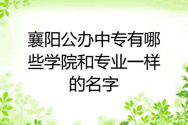 襄阳公办中专有哪些学院和专业一样的名字