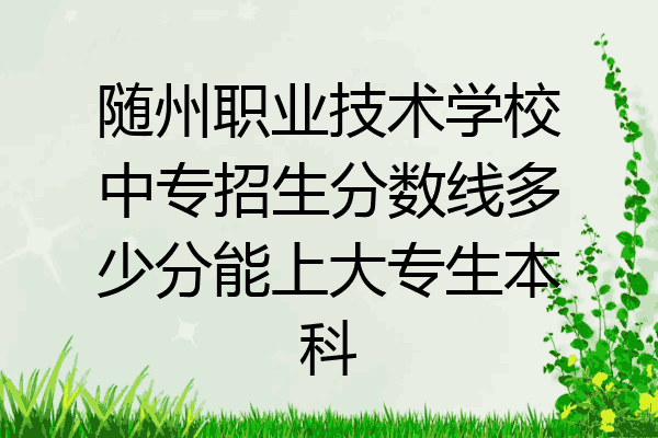 随州职业技术学校中专招生分数线多少分能上大专生本科