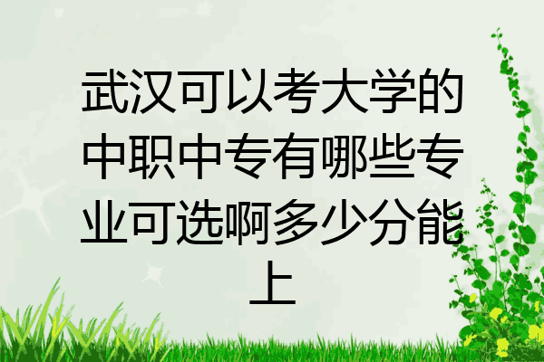 武汉可以考大学的中职中专有哪些专业可选啊多少分能上