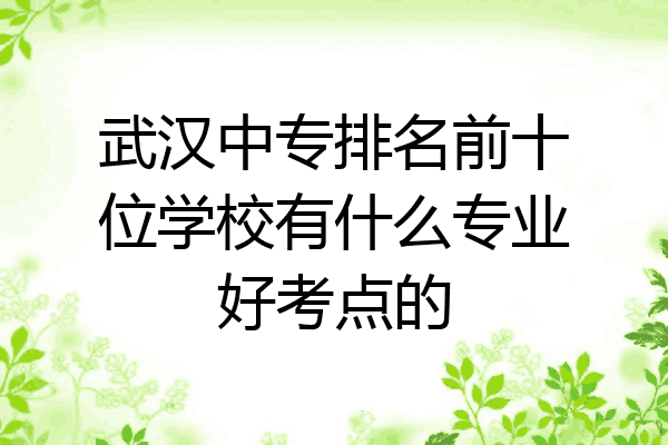 武汉中专排名前十位学校有什么专业好考点的