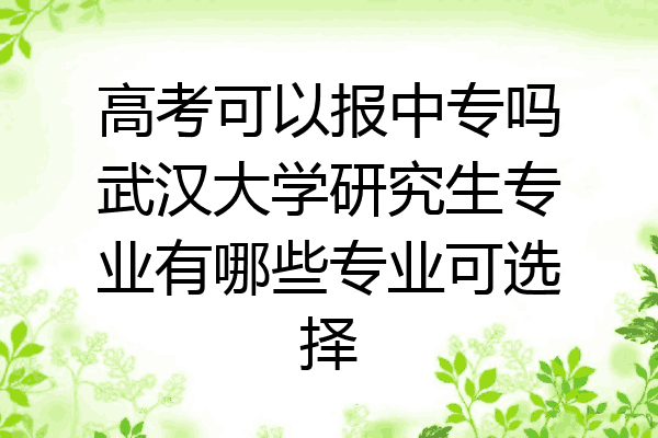 高考可以报中专吗武汉大学研究生专业有哪些专业可选择