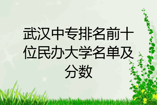 武汉中专排名前十位民办大学名单及分数