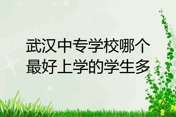 武汉中专学校哪个最好上学的学生多
