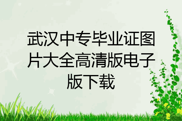 武汉中专毕业证图片大全高清版电子版下载