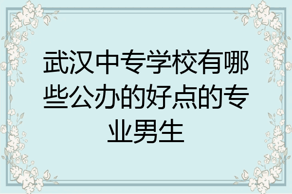 武汉中专学校有哪些公办的好点的专业男生