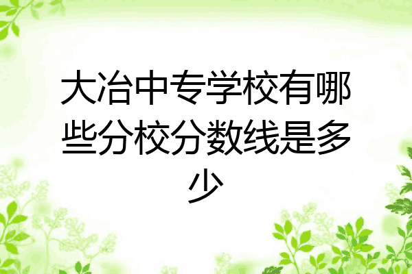 大冶中专学校有哪些分校分数线是多少