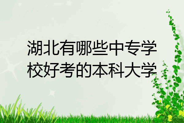 湖北有哪些中专学校好考的本科大学