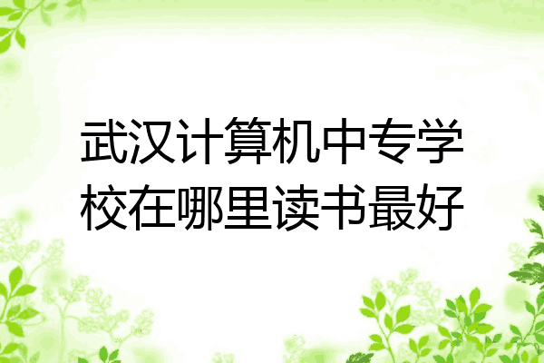 武汉计算机中专学校在哪里读书最好