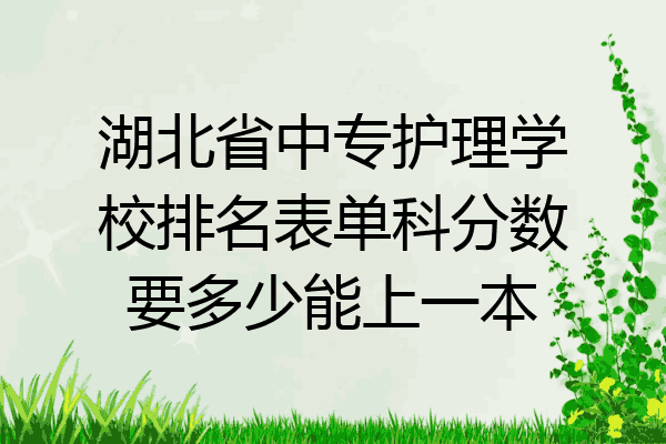 湖北省中专护理学校排名表单科分数要多少能上一本