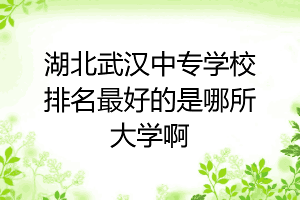 湖北武汉中专学校排名最好的是哪所大学啊