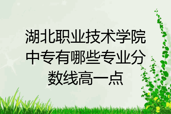 湖北职业技术学院中专有哪些专业分数线高一点