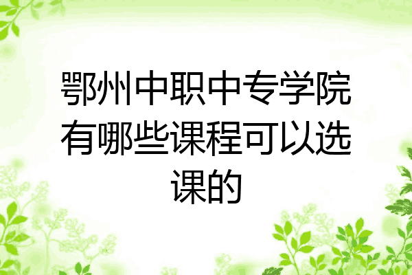 鄂州中职中专学院有哪些课程可以选课的