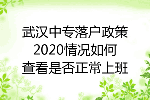 武汉中专落户政策2020情况如何查看是否正常上班