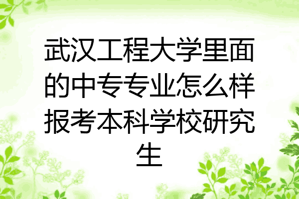 武汉工程大学里面的中专专业怎么样报考本科学校研究生