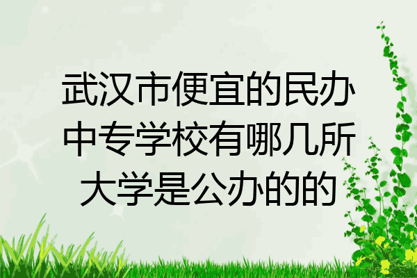 武汉市便宜的民办中专学校有哪几所大学是公办的的