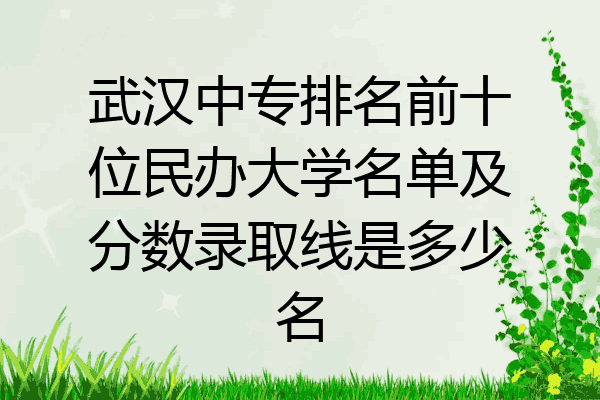 武汉中专排名前十位民办大学名单及分数录取线是多少名