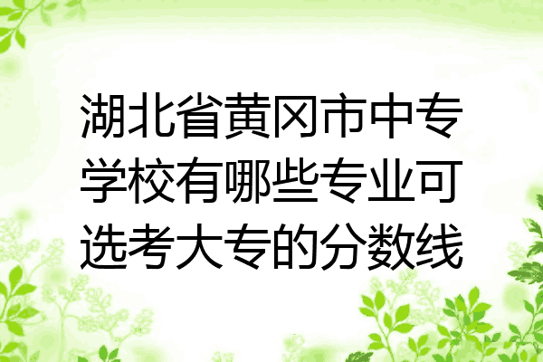 湖北省黄冈市中专学校有哪些专业可选考大专的分数线