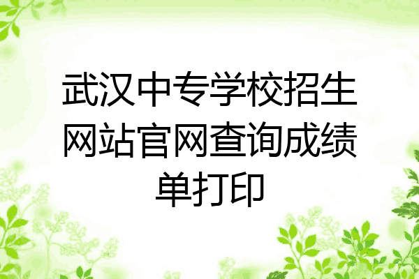 武汉中专学校招生网站官网查询成绩单打印
