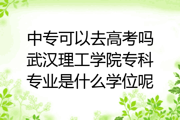 中专可以去高考吗武汉理工学院专科专业是什么学位呢