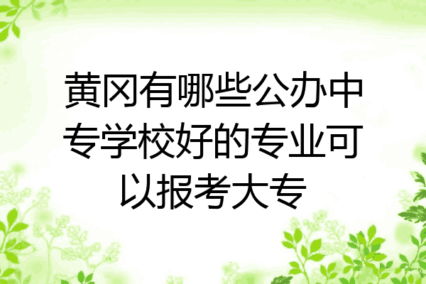 黄冈有哪些公办中专学校好的专业可以报考大专