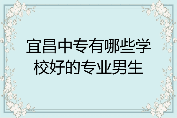 宜昌中专有哪些学校好的专业男生