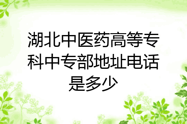 湖北中医药高等专科中专部地址电话是多少