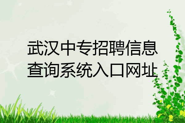 武汉中专招聘信息查询系统入口网址
