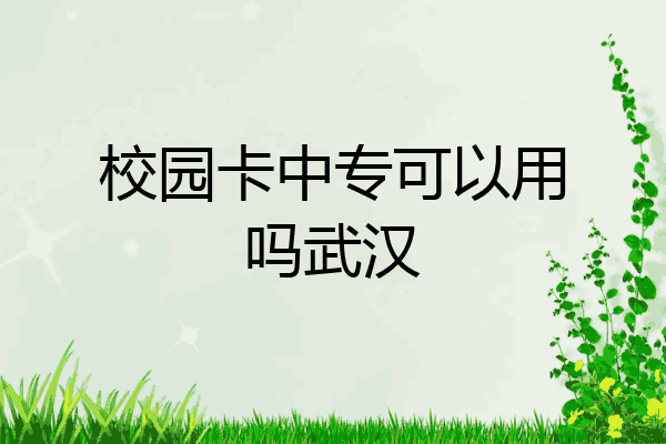 校园卡中专可以用吗武汉