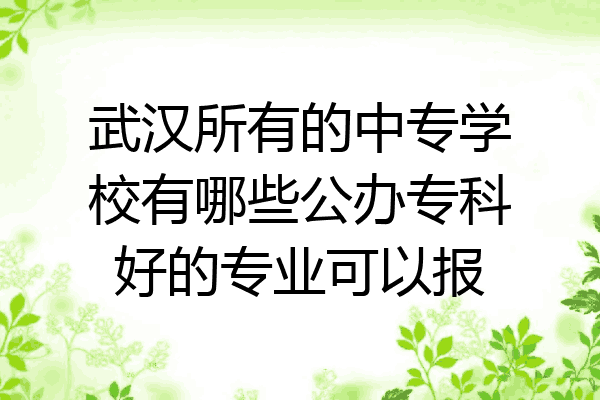 武汉所有的中专学校有哪些公办专科好的专业可以报
