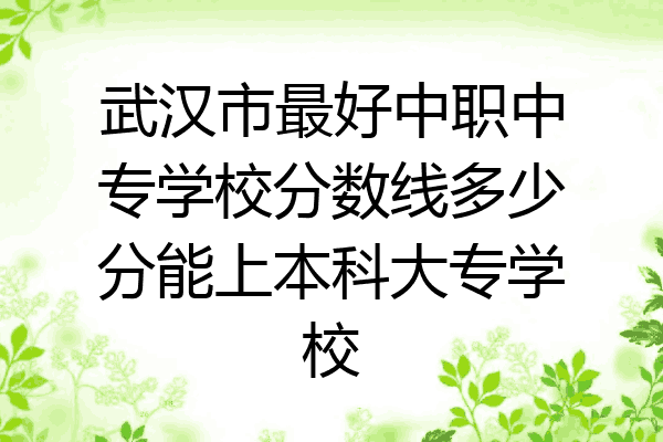 武汉市最好中职中专学校分数线多少分能上本科大专学校