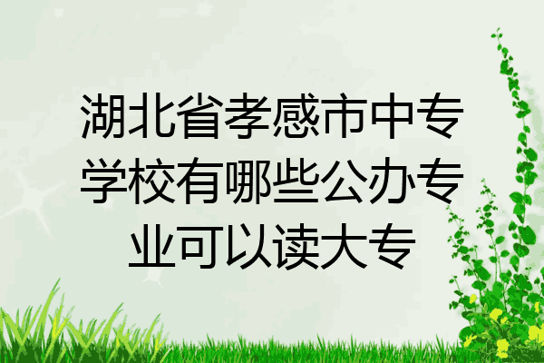 湖北省孝感市中专学校有哪些公办专业可以读大专