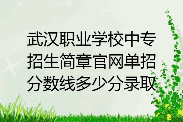 武汉职业学校中专招生简章官网单招分数线多少分录取