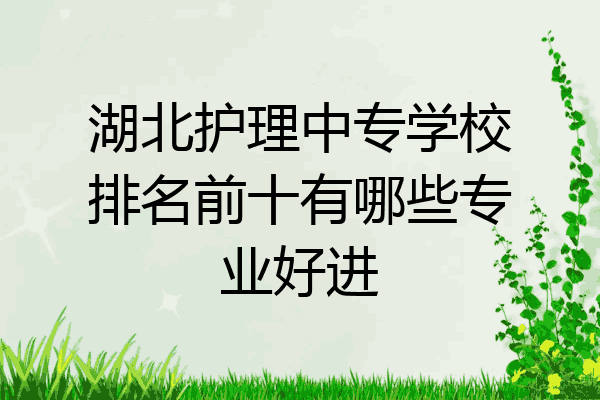 湖北护理中专学校排名前十有哪些专业好进