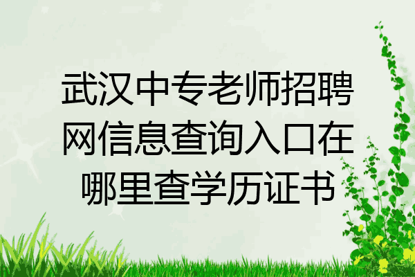 武汉中专老师招聘网信息查询入口在哪里查学历证书
