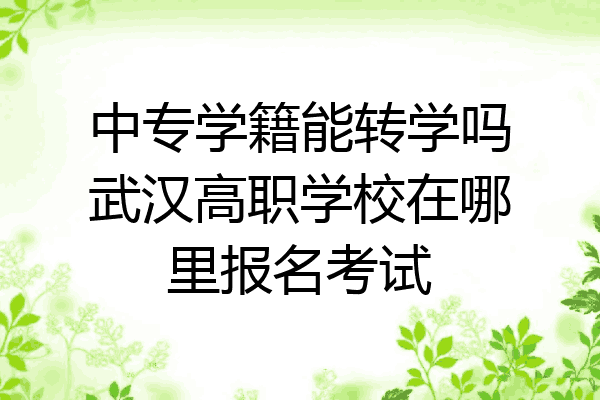 中专学籍能转学吗武汉高职学校在哪里报名考试