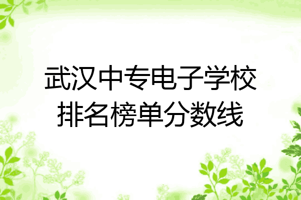 武汉中专电子学校排名榜单分数线
