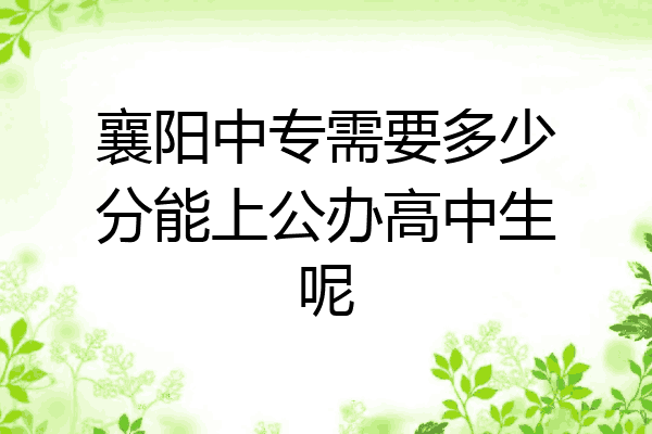 襄阳中专需要多少分能上公办高中生呢