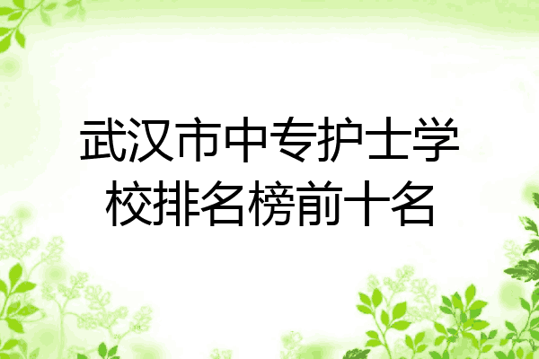 武汉市中专护士学校排名榜前十名