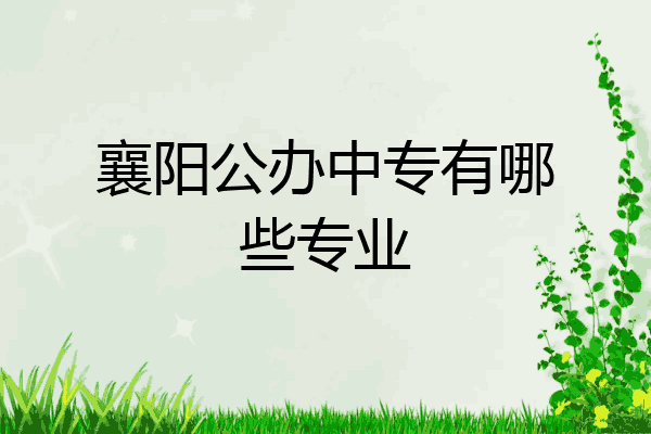 襄阳公办中专有哪些专业